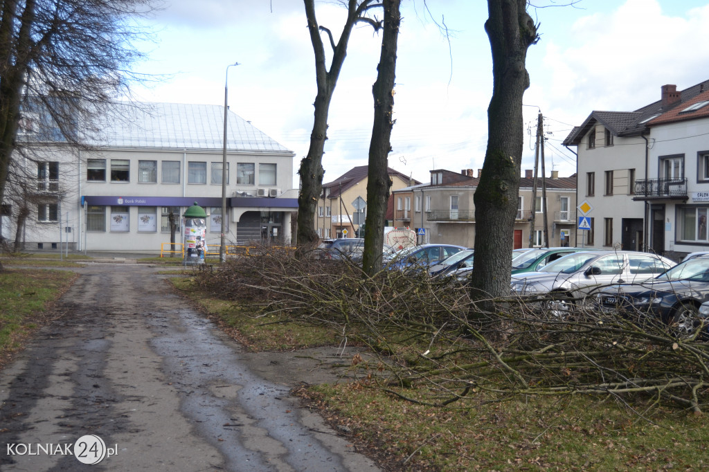 Plac Wolności w Kolnie: trwa wycinka drzew