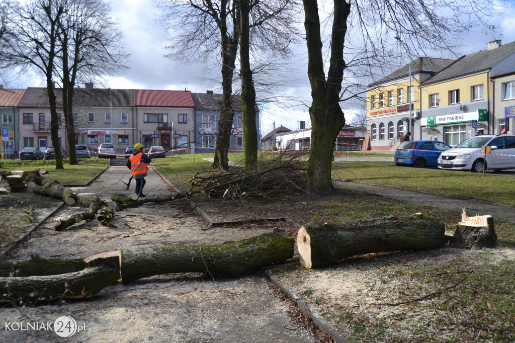 Plac Wolności w Kolnie: trwa wycinka drzew
