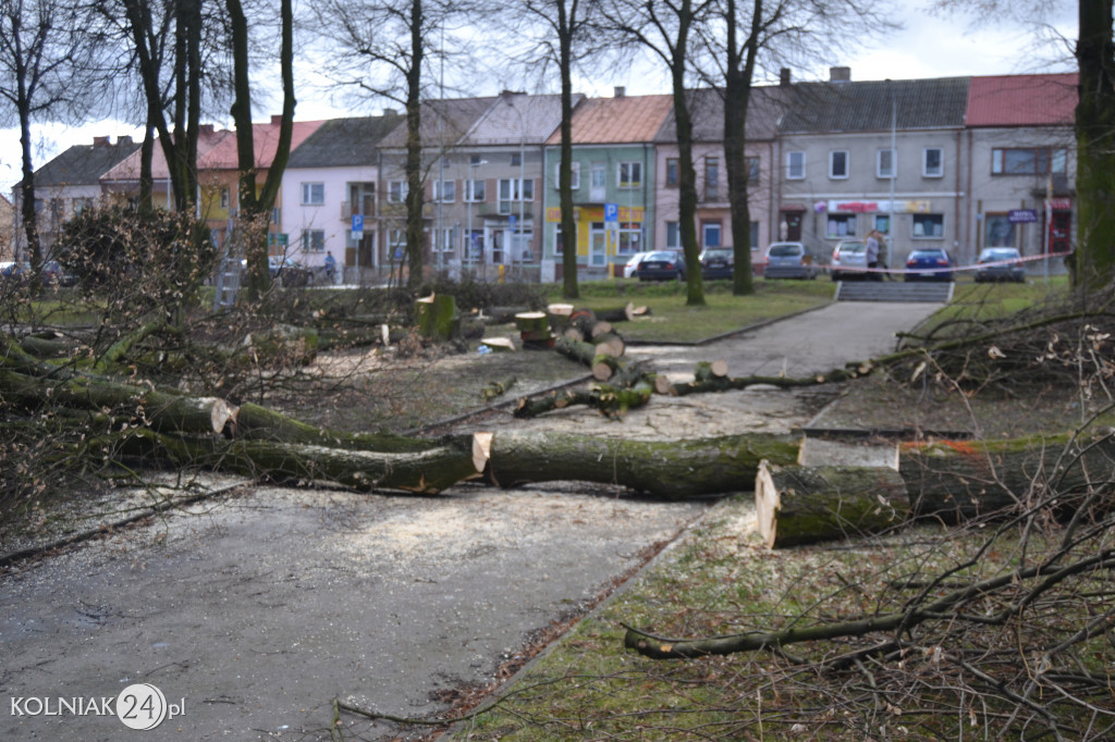 Plac Wolności w Kolnie: trwa wycinka drzew