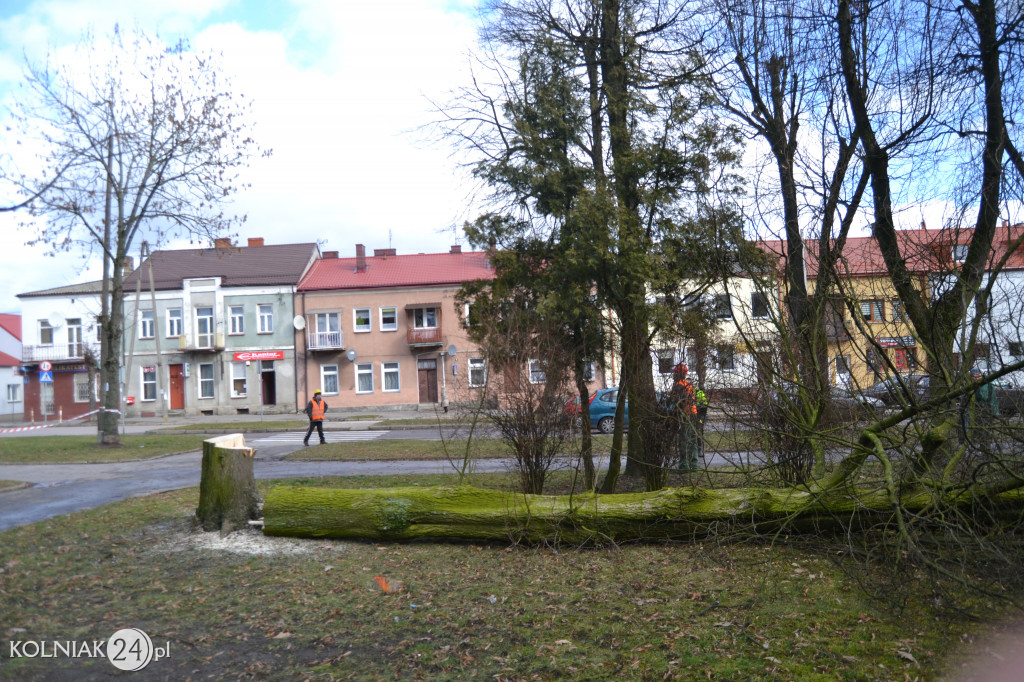 Plac Wolności w Kolnie: trwa wycinka drzew