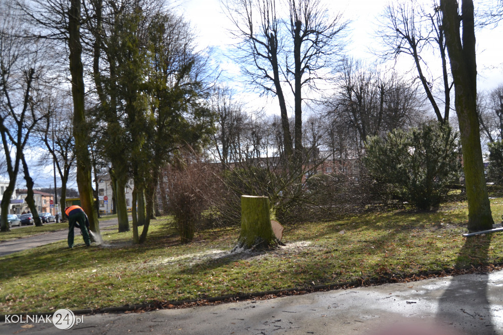 Plac Wolności w Kolnie: trwa wycinka drzew