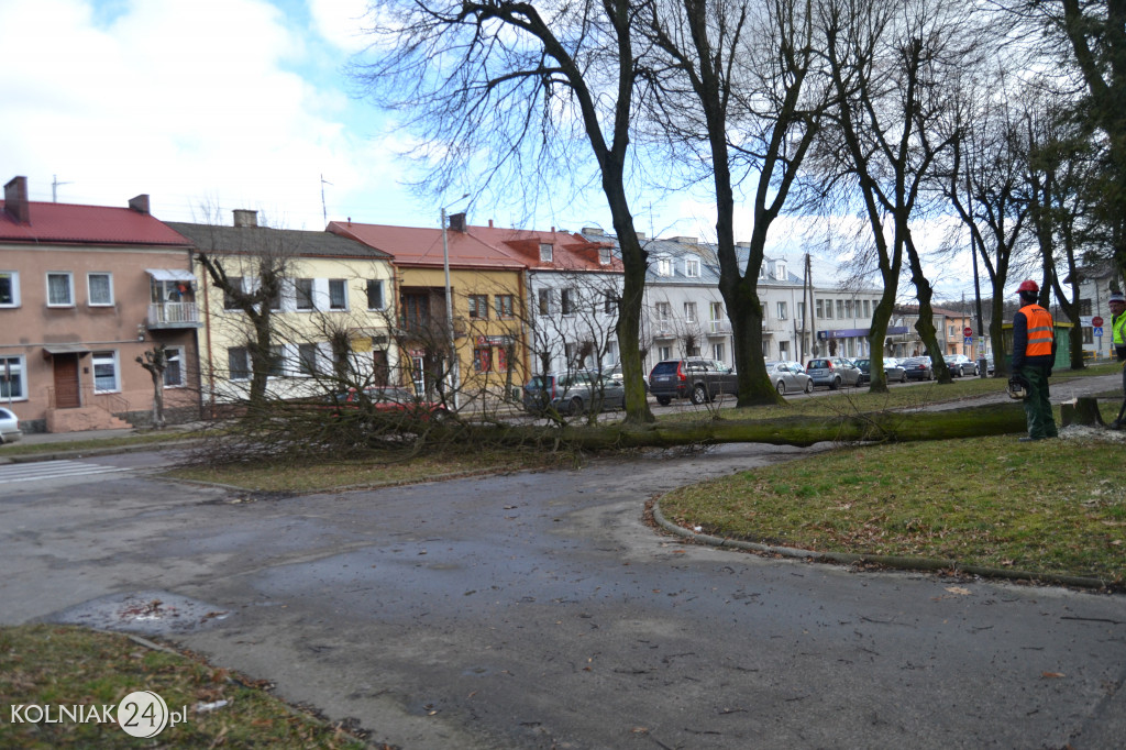 Plac Wolności w Kolnie: trwa wycinka drzew