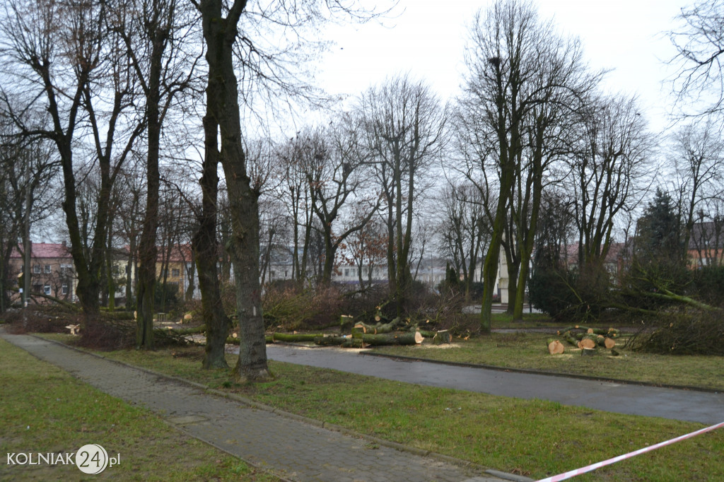 Plac Wolności w Kolnie: trwa wycinka drzew