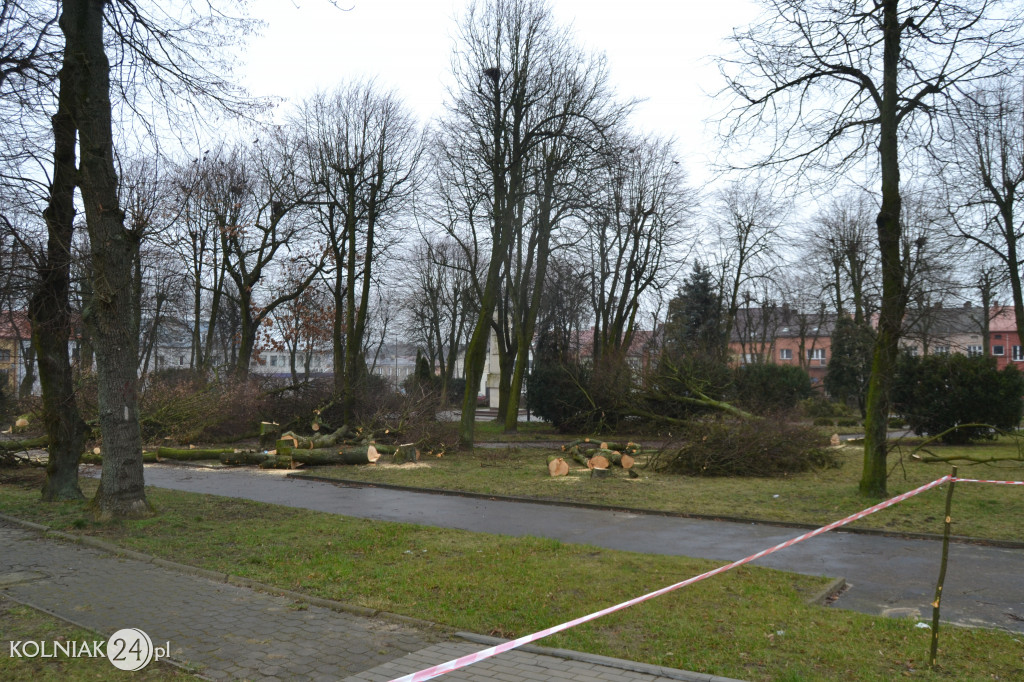 Plac Wolności w Kolnie: trwa wycinka drzew