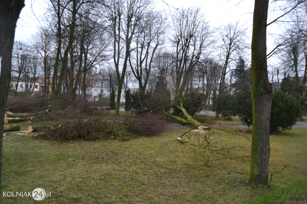 Plac Wolności w Kolnie: trwa wycinka drzew