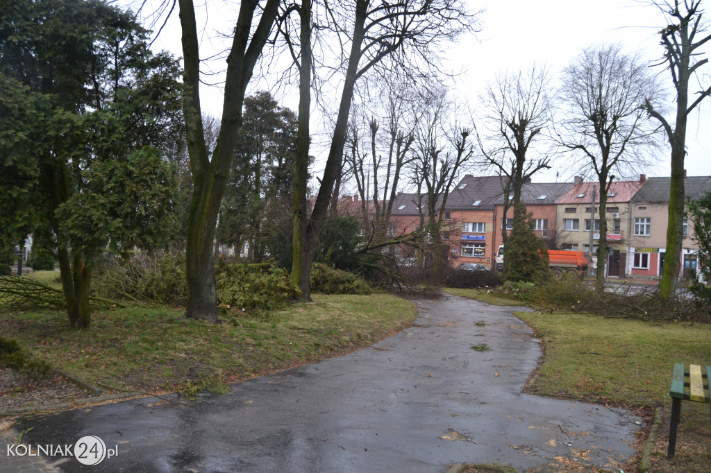 Plac Wolności w Kolnie: trwa wycinka drzew