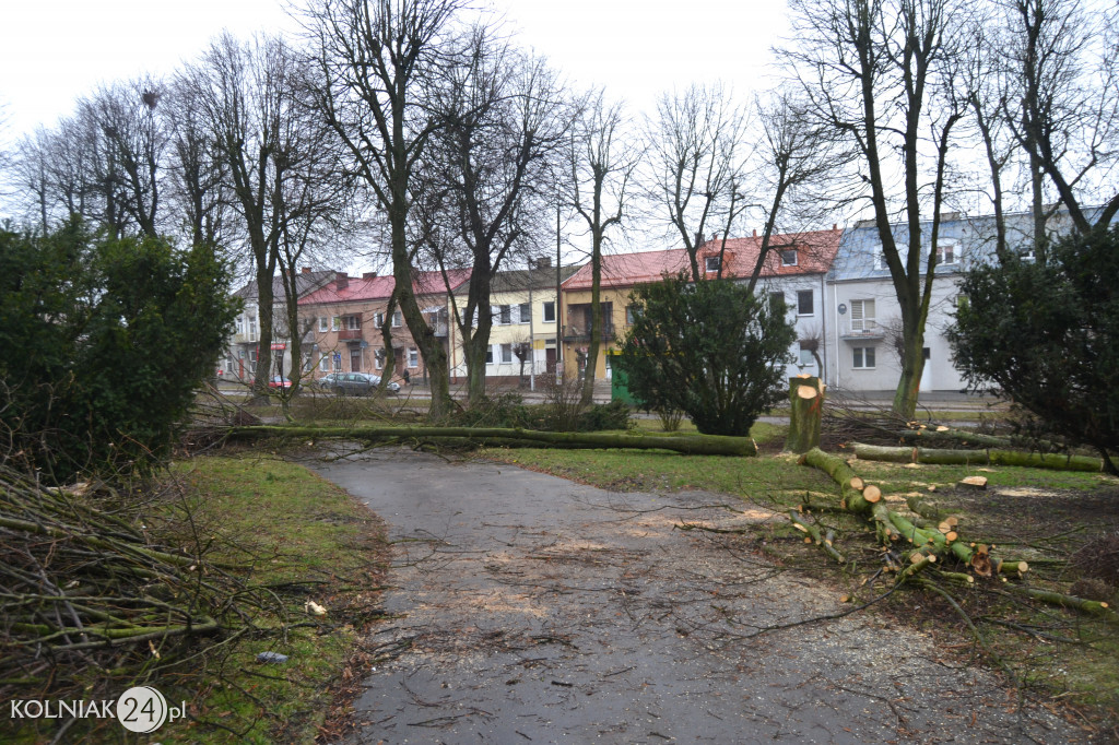 Plac Wolności w Kolnie: trwa wycinka drzew