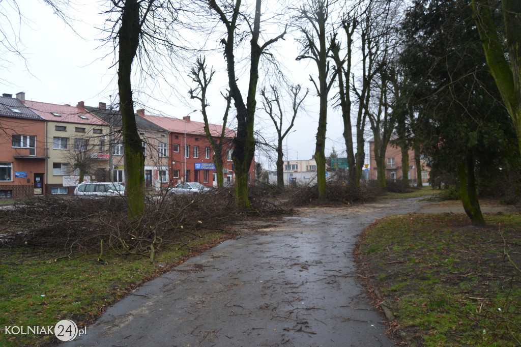 Plac Wolności w Kolnie: trwa wycinka drzew