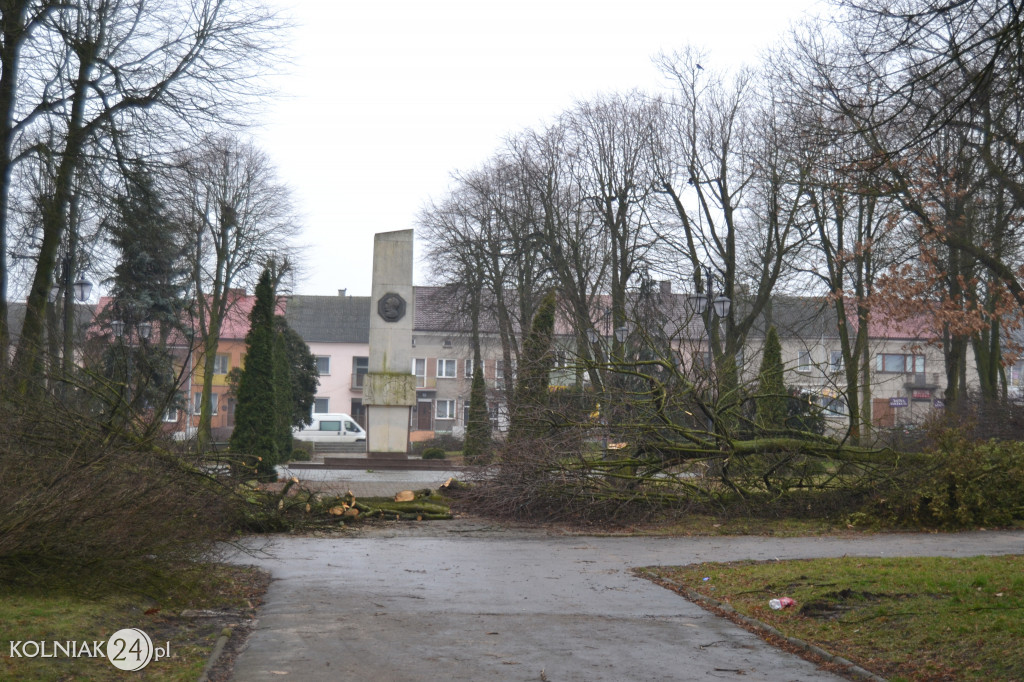 Plac Wolności w Kolnie: trwa wycinka drzew