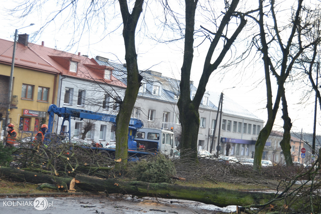 Plac Wolności w Kolnie: trwa wycinka drzew