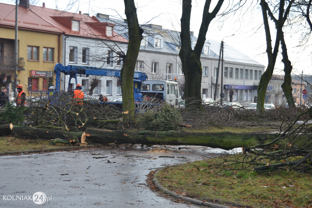 Plac Wolności w Kolnie: trwa wycinka drzew
