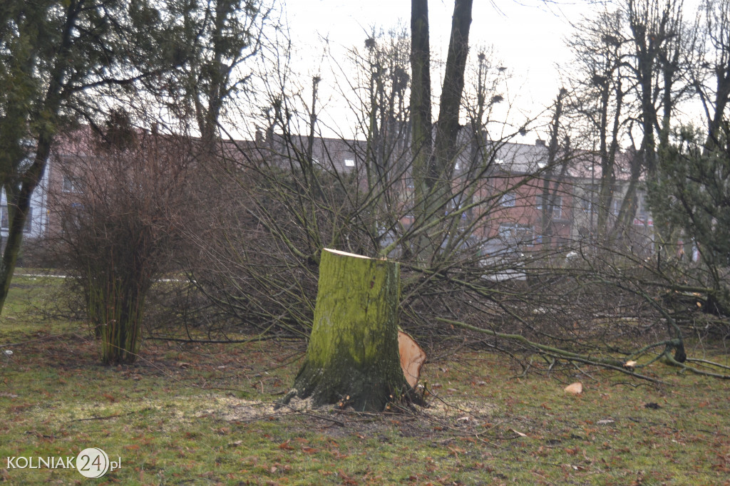 Plac Wolności w Kolnie: trwa wycinka drzew