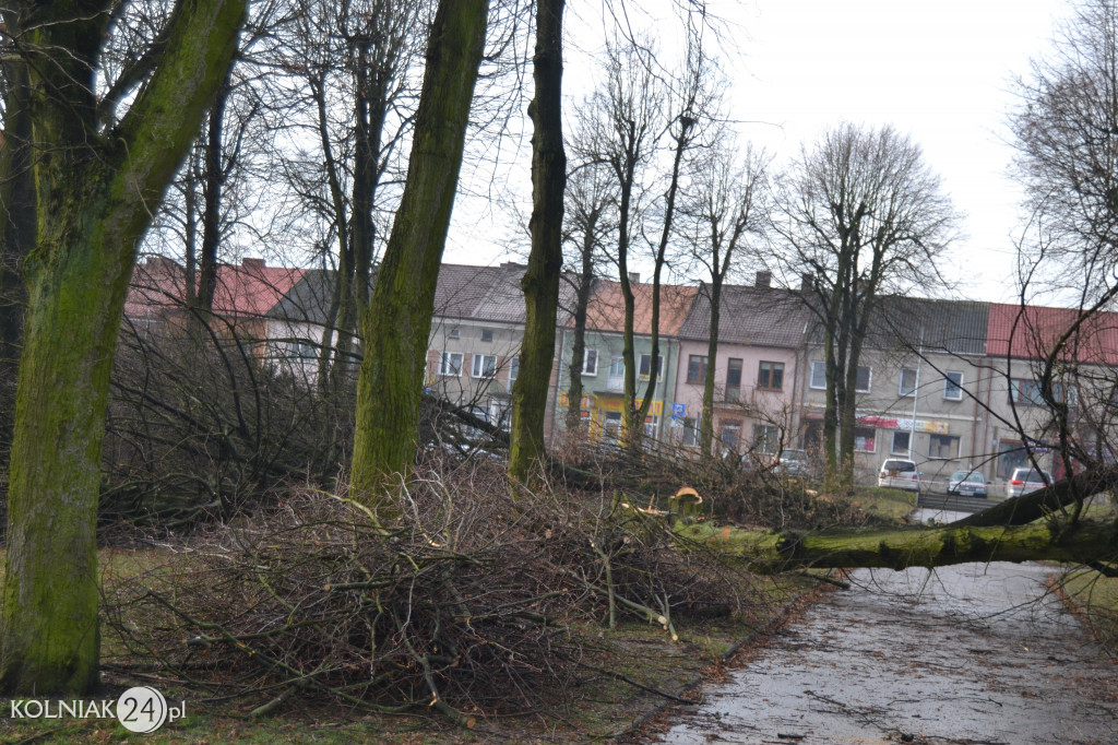 Plac Wolności w Kolnie: trwa wycinka drzew
