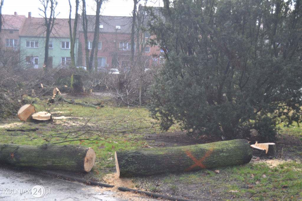 Plac Wolności w Kolnie: trwa wycinka drzew