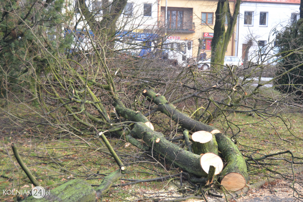Plac Wolności w Kolnie: trwa wycinka drzew