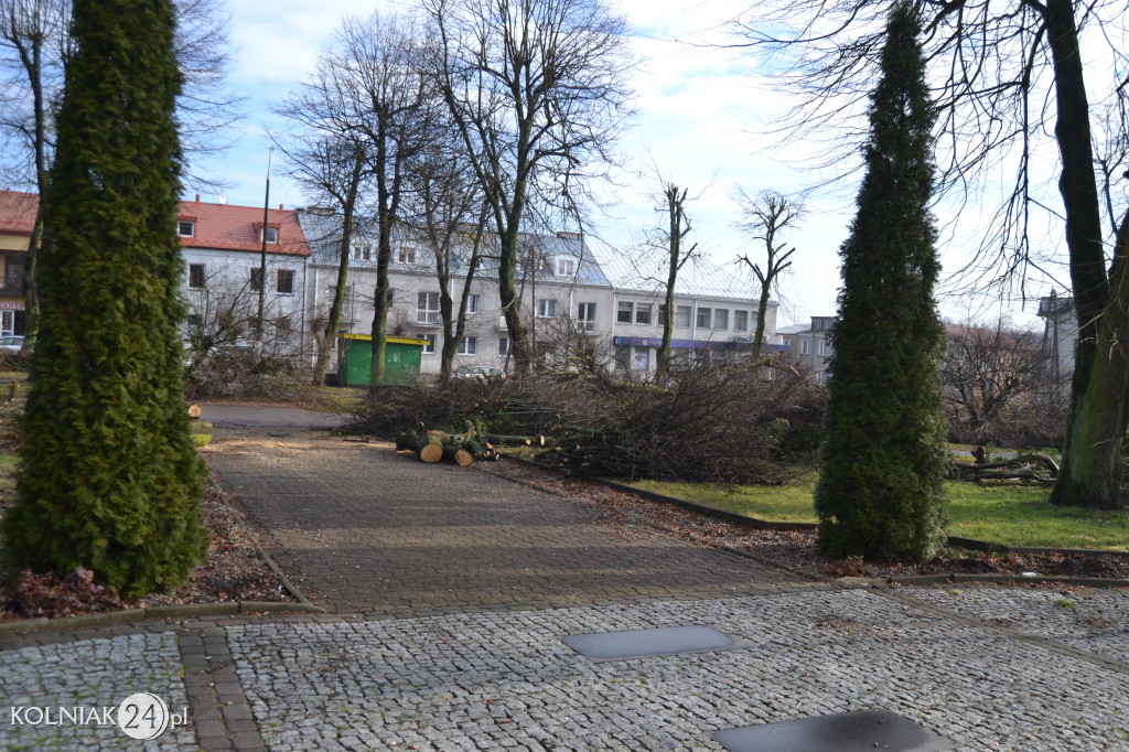 Plac Wolności w Kolnie: trwa wycinka drzew