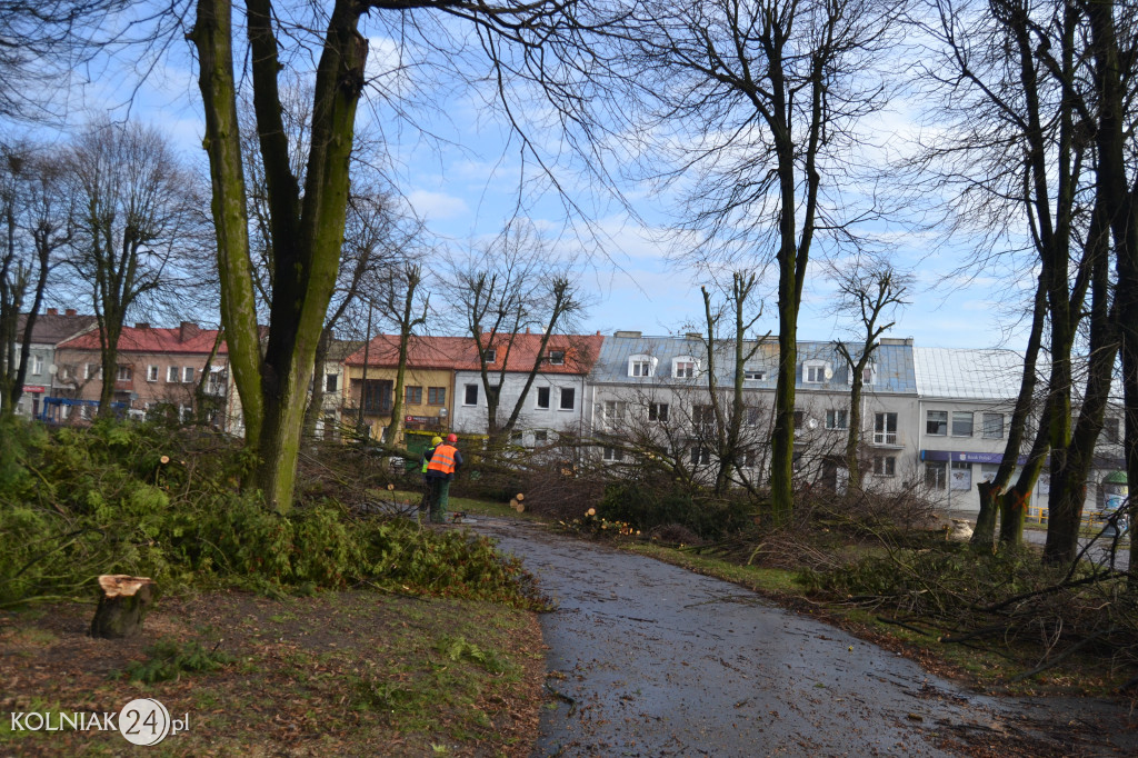 Plac Wolności w Kolnie: trwa wycinka drzew