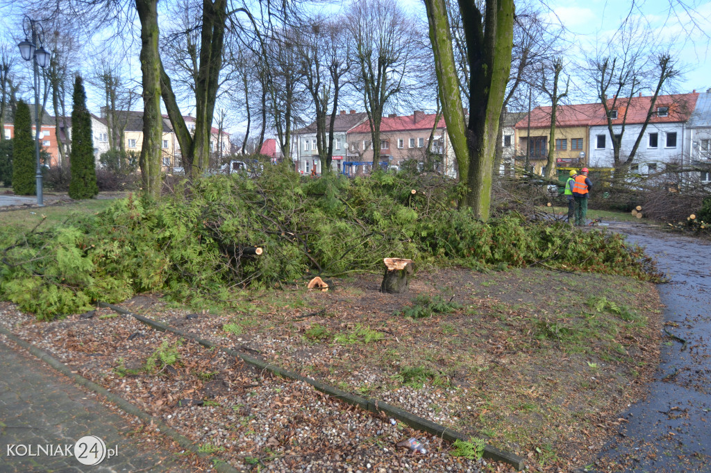 Plac Wolności w Kolnie: trwa wycinka drzew