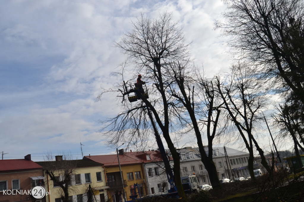 Plac Wolności w Kolnie: trwa wycinka drzew