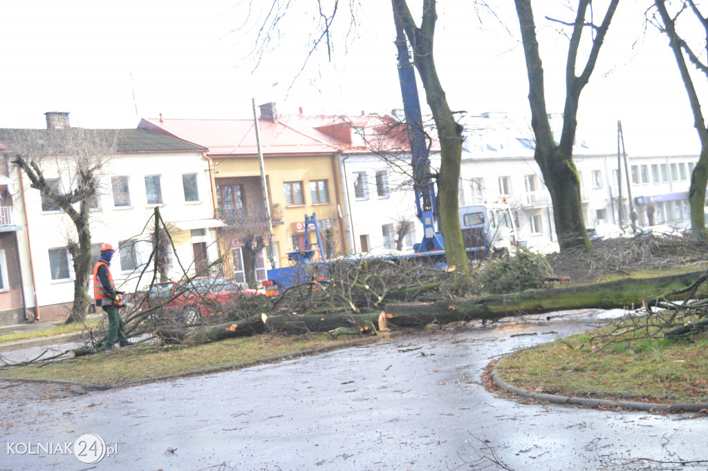 Plac Wolności w Kolnie: trwa wycinka drzew
