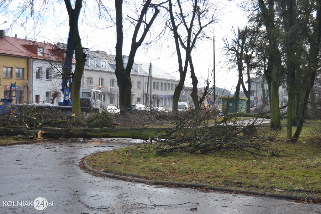 Plac Wolności w Kolnie: trwa wycinka drzew