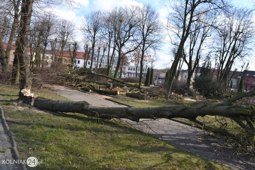 Plac Wolności w Kolnie: trwa wycinka drzew