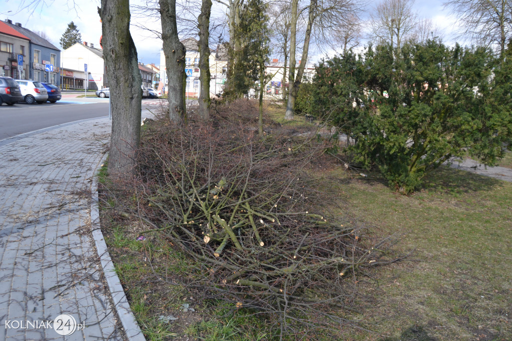 Plac Wolności w Kolnie: trwa wycinka drzew