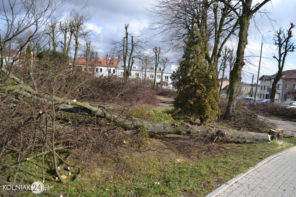 Plac Wolności w Kolnie: trwa wycinka drzew