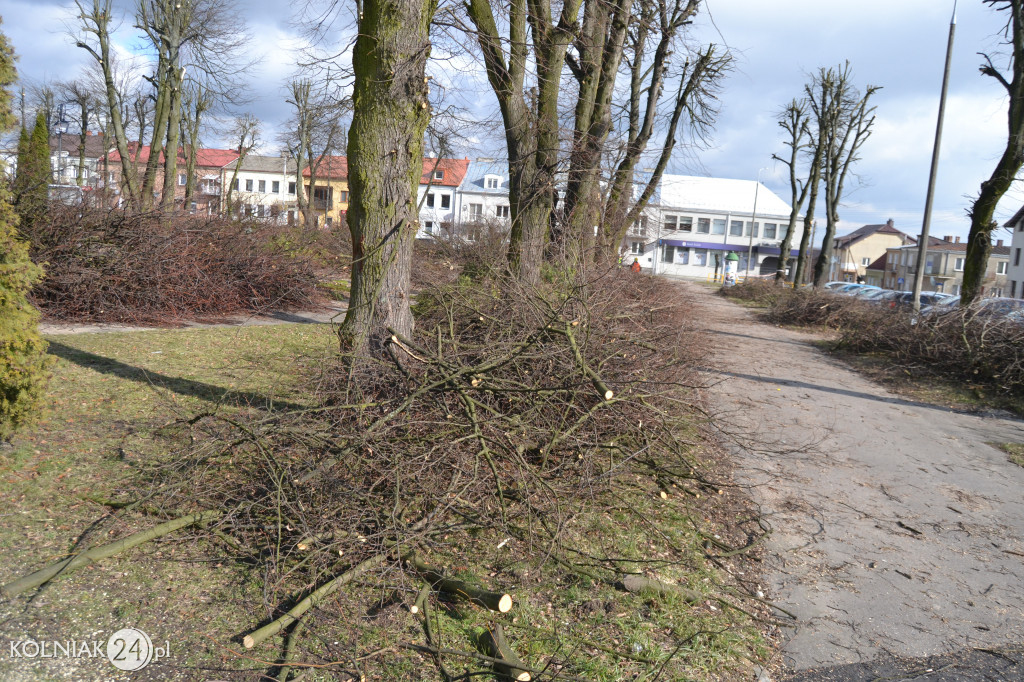 Plac Wolności w Kolnie: trwa wycinka drzew