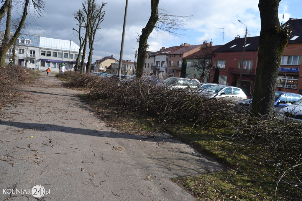 Plac Wolności w Kolnie: trwa wycinka drzew