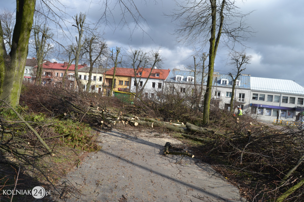 Plac Wolności w Kolnie: trwa wycinka drzew