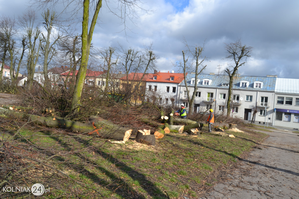 Plac Wolności w Kolnie: trwa wycinka drzew