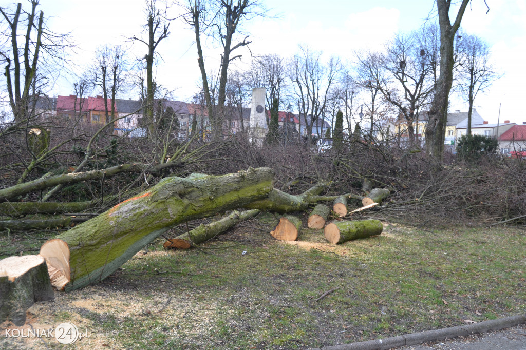 Plac Wolności w Kolnie: trwa wycinka drzew