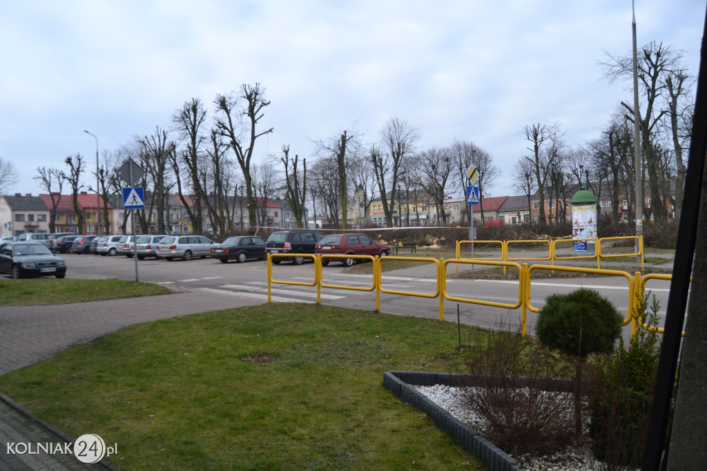 Plac Wolności w Kolnie: trwa wycinka drzew