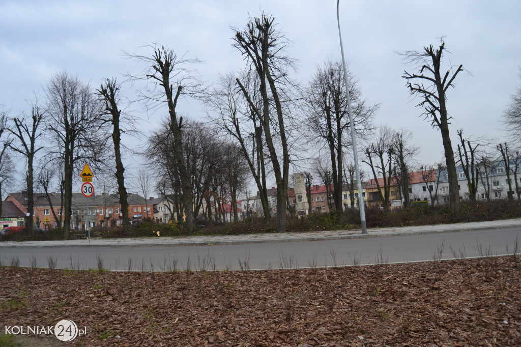 Plac Wolności w Kolnie: trwa wycinka drzew