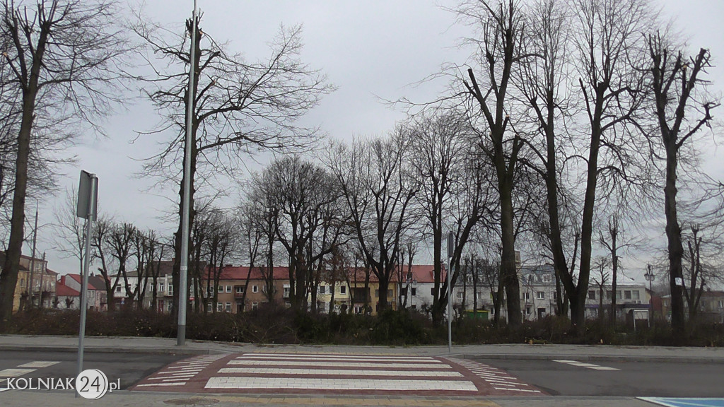 Wycinka drzew w parku miejskim (część 3)