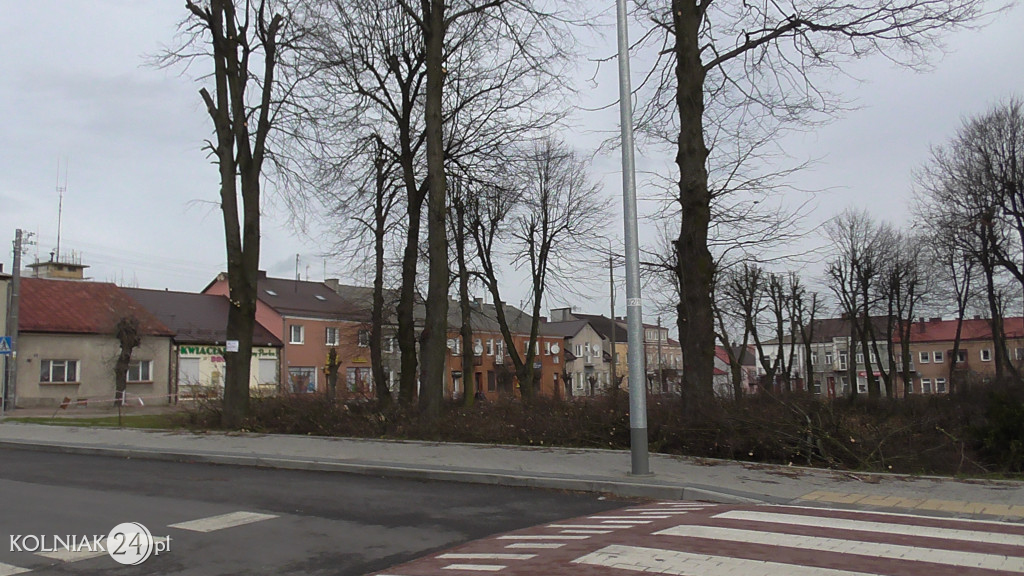 Wycinka drzew w parku miejskim (część 3)