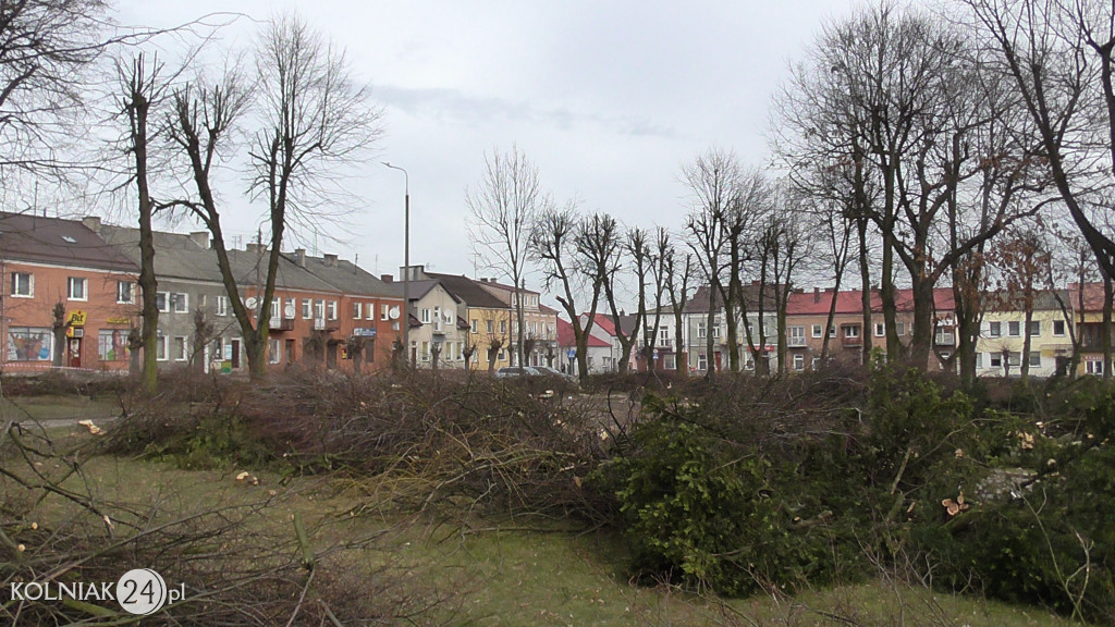 Wycinka drzew w parku miejskim (część 3)
