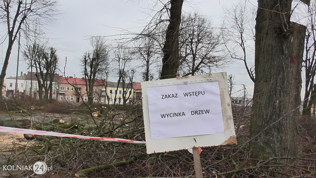 Wycinka drzew w parku miejskim (część 3)