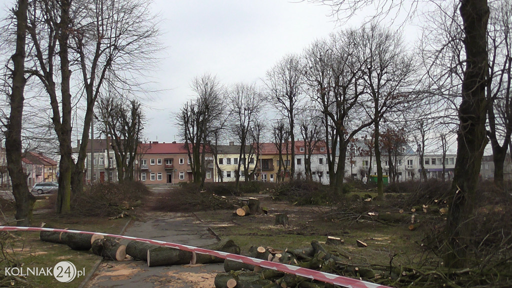 Wycinka drzew w parku miejskim (część 3)