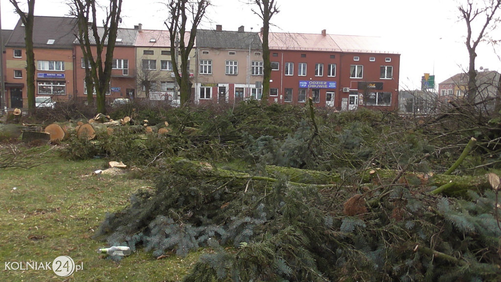 Wycinka drzew w parku miejskim (część 3)
