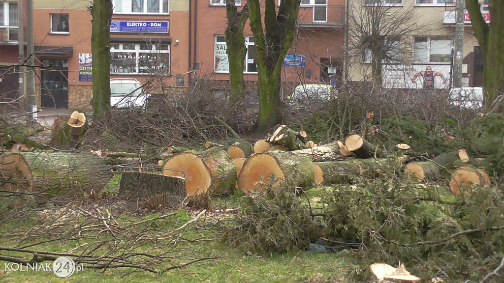 Wycinka drzew w parku miejskim (część 3)