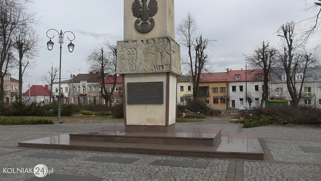 Wycinka drzew w parku miejskim (część 3)