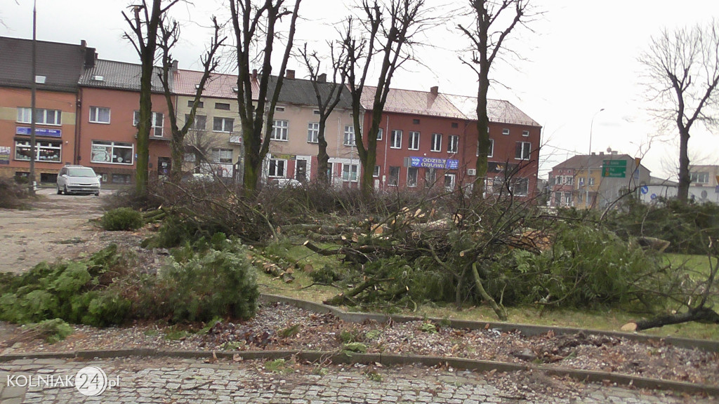 Wycinka drzew w parku miejskim (część 3)