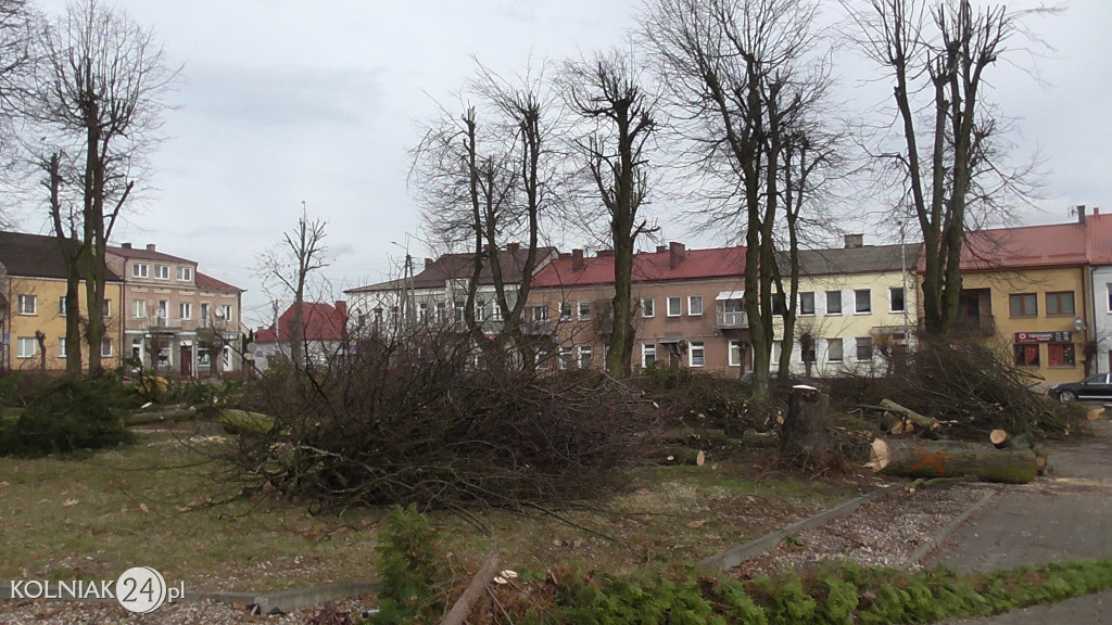 Wycinka drzew w parku miejskim (część 3)