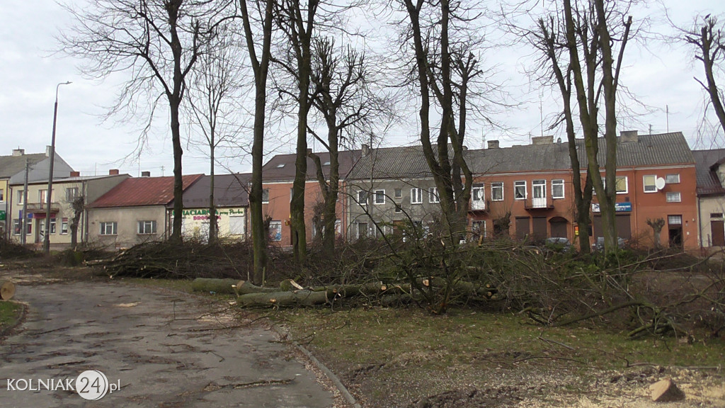 Wycinka drzew w parku miejskim (część 3)