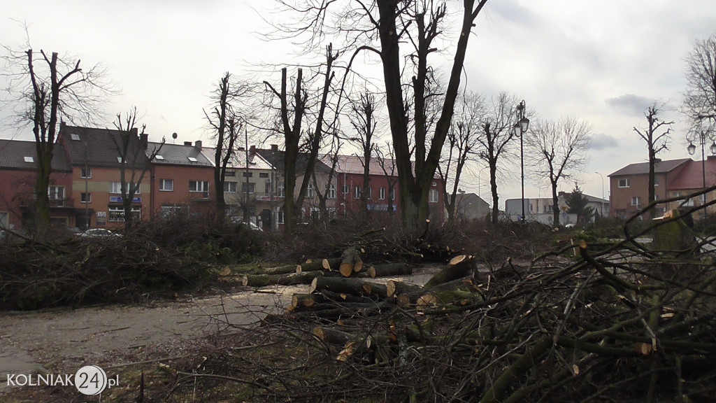 Wycinka drzew w parku miejskim (część 3)