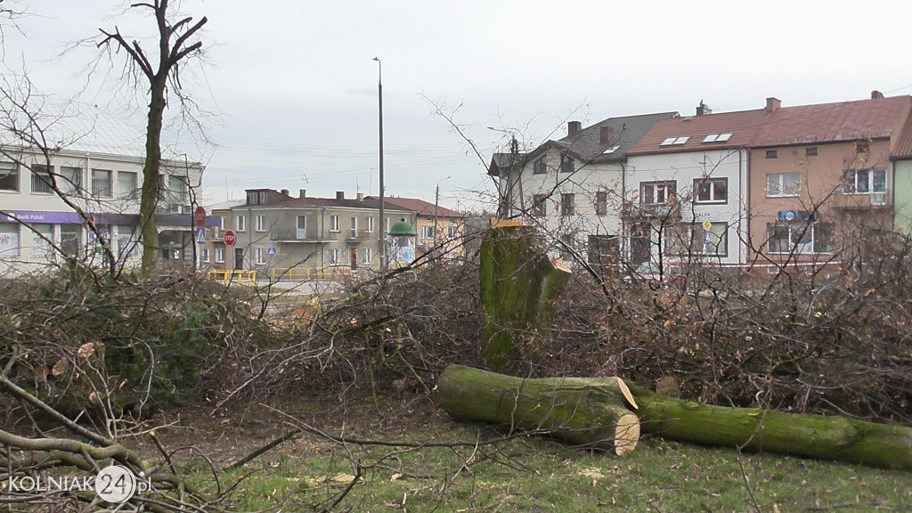 Wycinka drzew w parku miejskim (część 3)