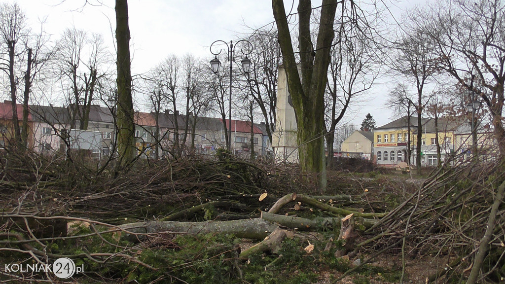 Wycinka drzew w parku miejskim (część 3)