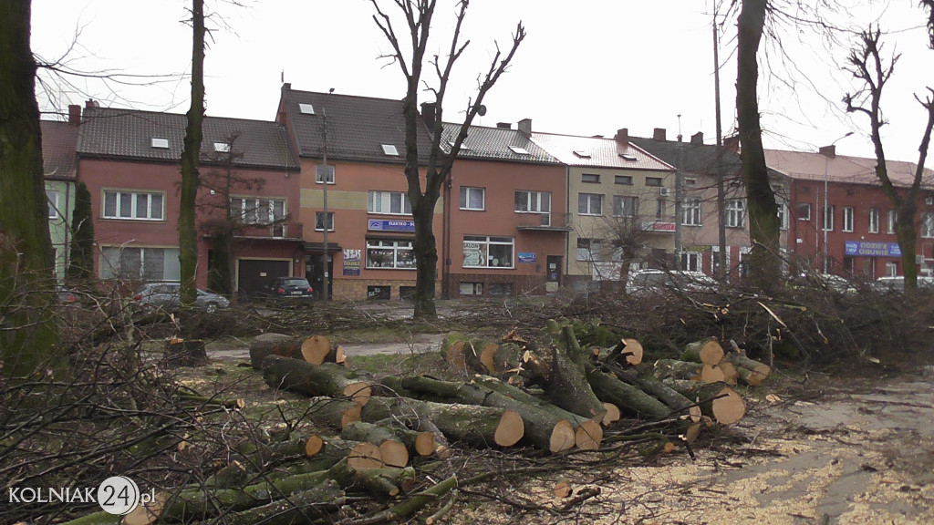 Wycinka drzew w parku miejskim (część 3)
